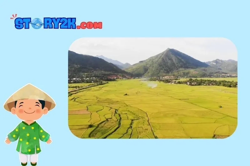 Cánh đồng Mường Lò