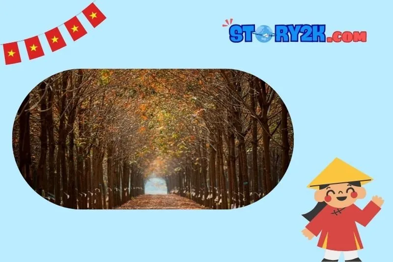 Rừng cao su Bù Đăng