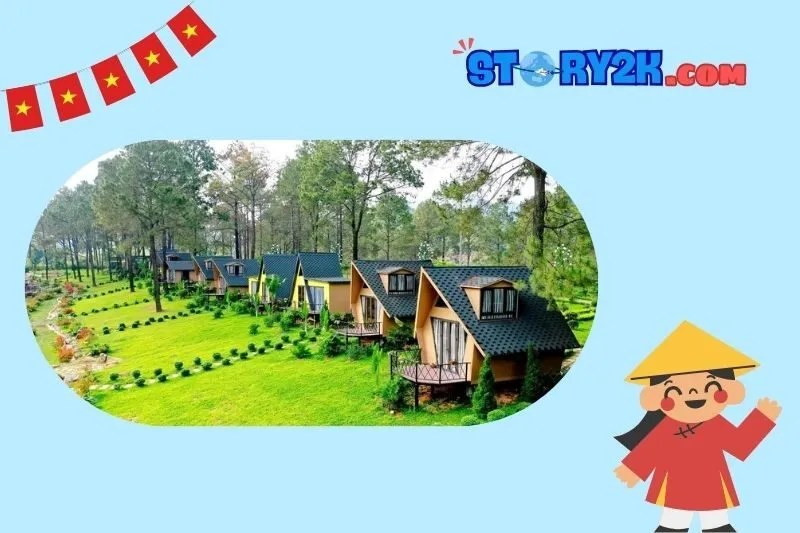 Rừng thông Bản Áng