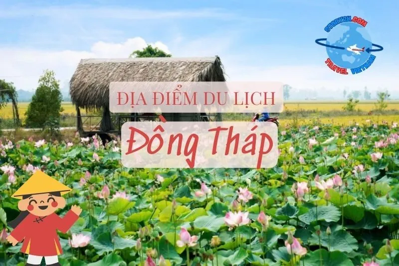 Top địa điểm du lịch Đồng Tháp hấp dẫn, nổi tiếng nhất 2025