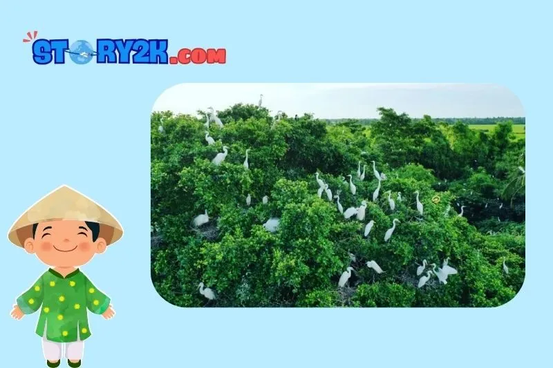 Vườn cò Tân Long