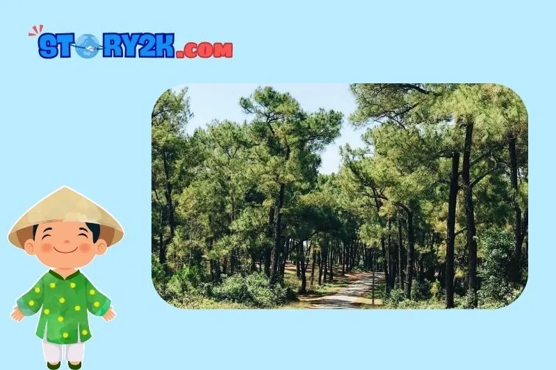 Địa điểm và cách di chuyển đến Đồi Thiên An Huế