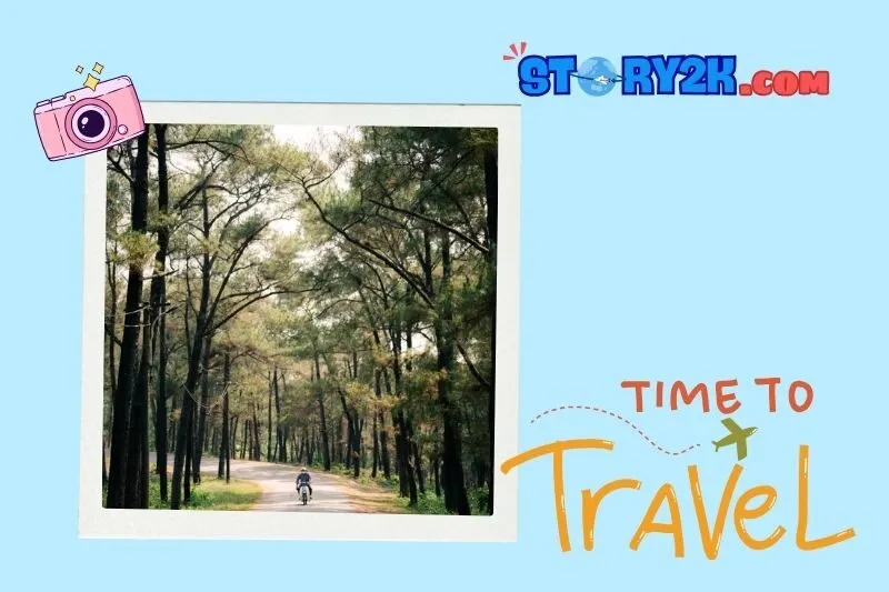 Những trải nghiệm không thể bỏ qua tại Đồi Thiên An